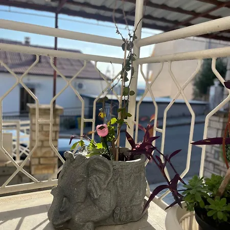 Apartment More Crikvenica Апартаменты